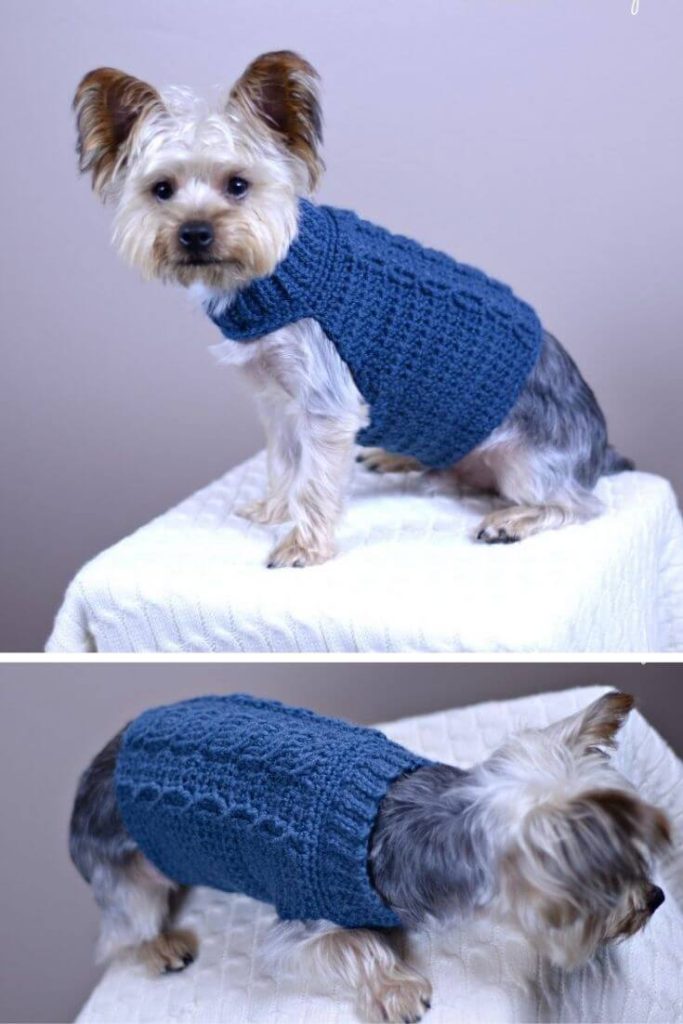 15 Crochet Dog Sweater Free Patterns & Instructions (With Photos)