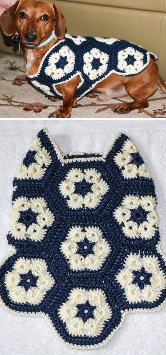 15 Crochet Dog Sweater Free Patterns & Instructions (With Photos)