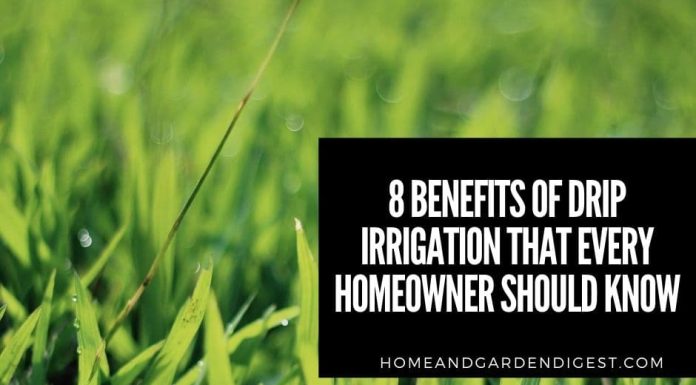8 Benefits Of Drip Irrigation That Every Homeowner Should Know