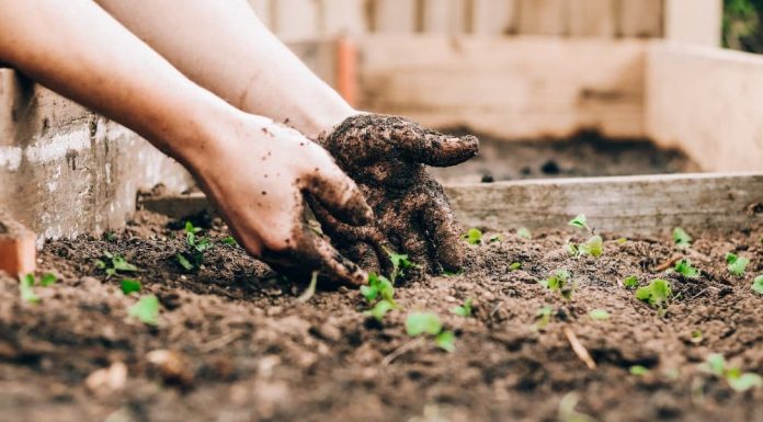 4 Gardening Tips For A Greener Environment